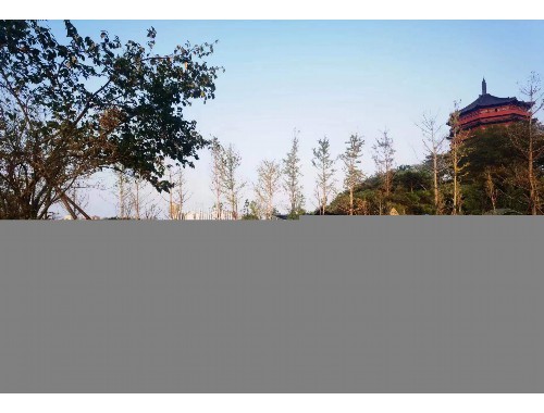 新密君君庭院景观绿化工程