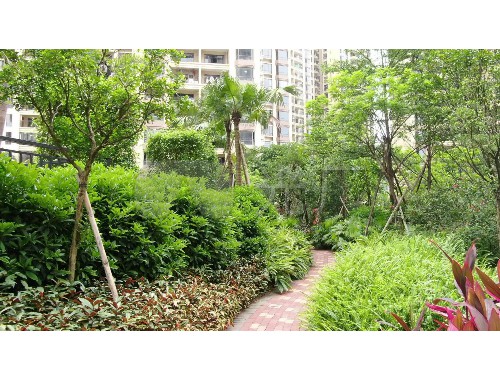 市政绿化工程工作心得体会