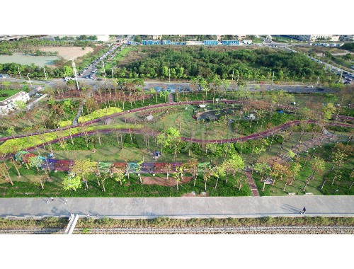 云岩区道路绿化工程
